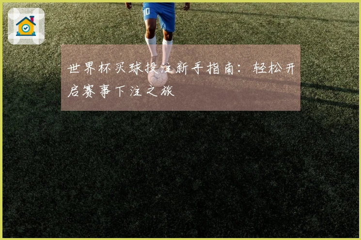 世界杯买球投注新手指南：轻松开启赛事下注之旅