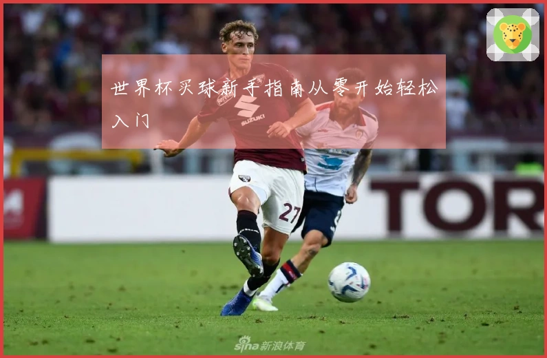 世界杯买球新手指南从零开始轻松入门