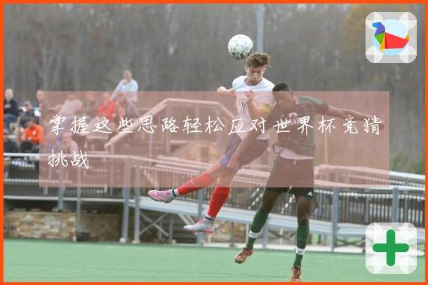 掌握这些思路轻松应对世界杯竞猜挑战